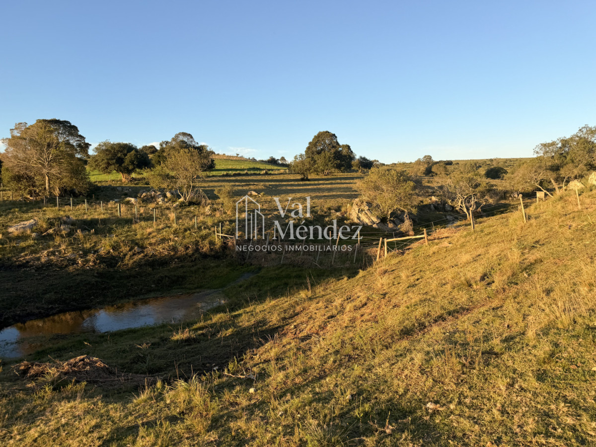 Chacra ID.3872 - CHACRA EN VENTA, ENTRE MALDONADO Y MINAS