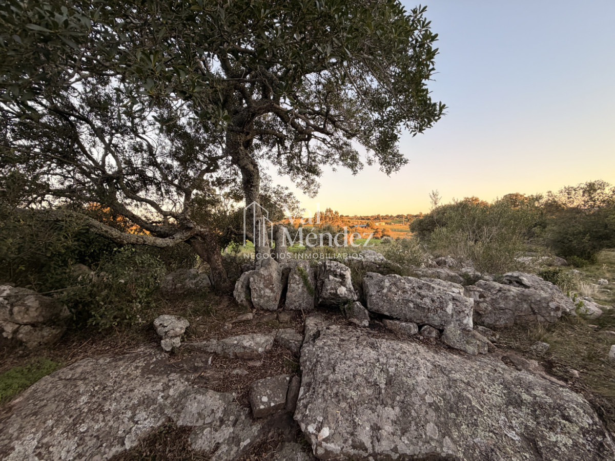 Chacra ID.3872 - CHACRA EN VENTA, ENTRE MALDONADO Y MINAS