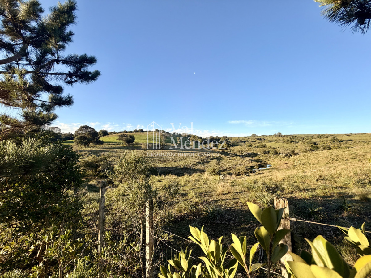 Chacra ID.3872 - CHACRA EN VENTA, ENTRE MALDONADO Y MINAS