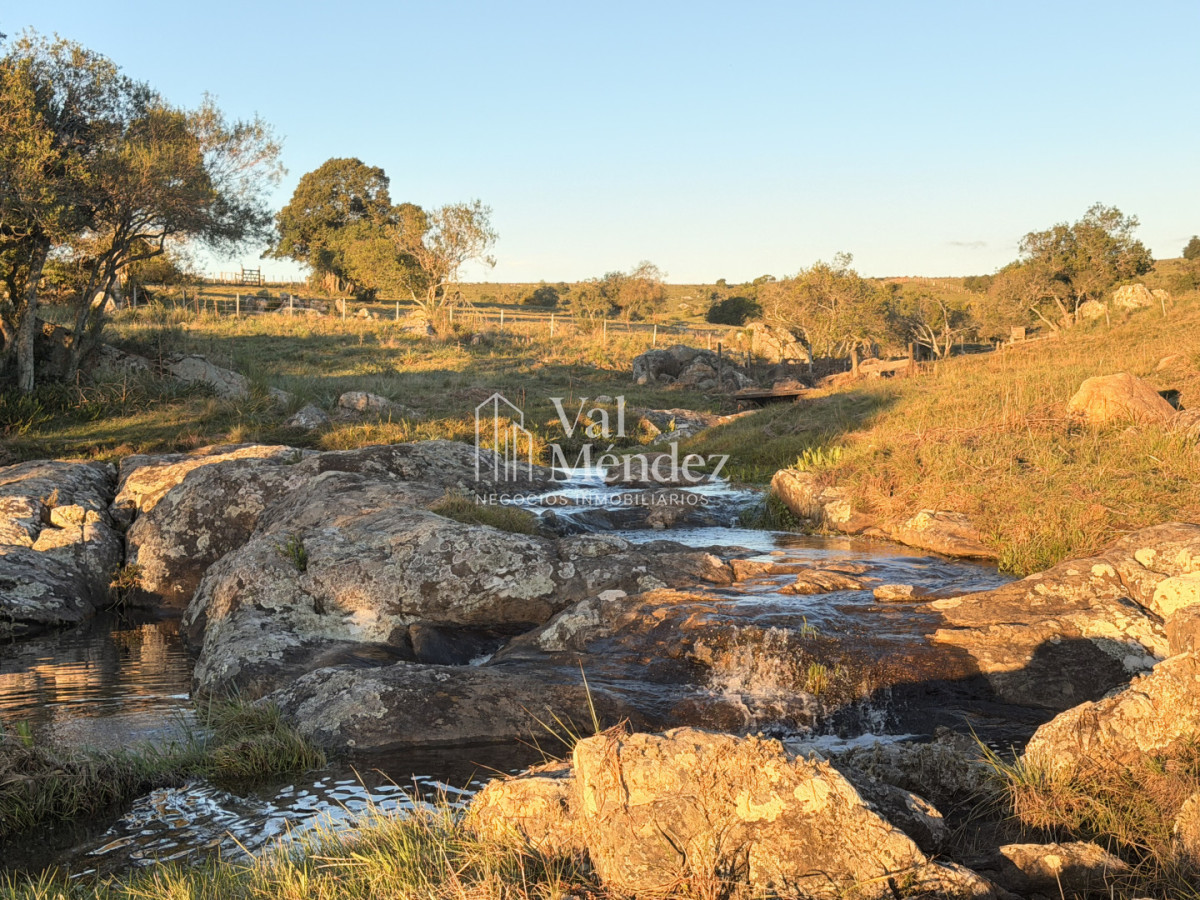 Chacra ID.3872 - CHACRA EN VENTA, ENTRE MALDONADO Y MINAS