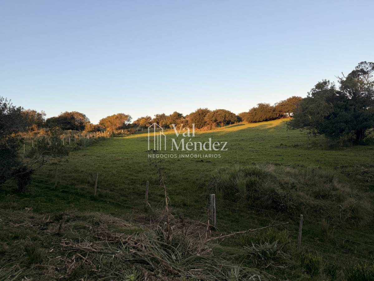 Chacra ID.3872 - CHACRA EN VENTA, ENTRE MALDONADO Y MINAS