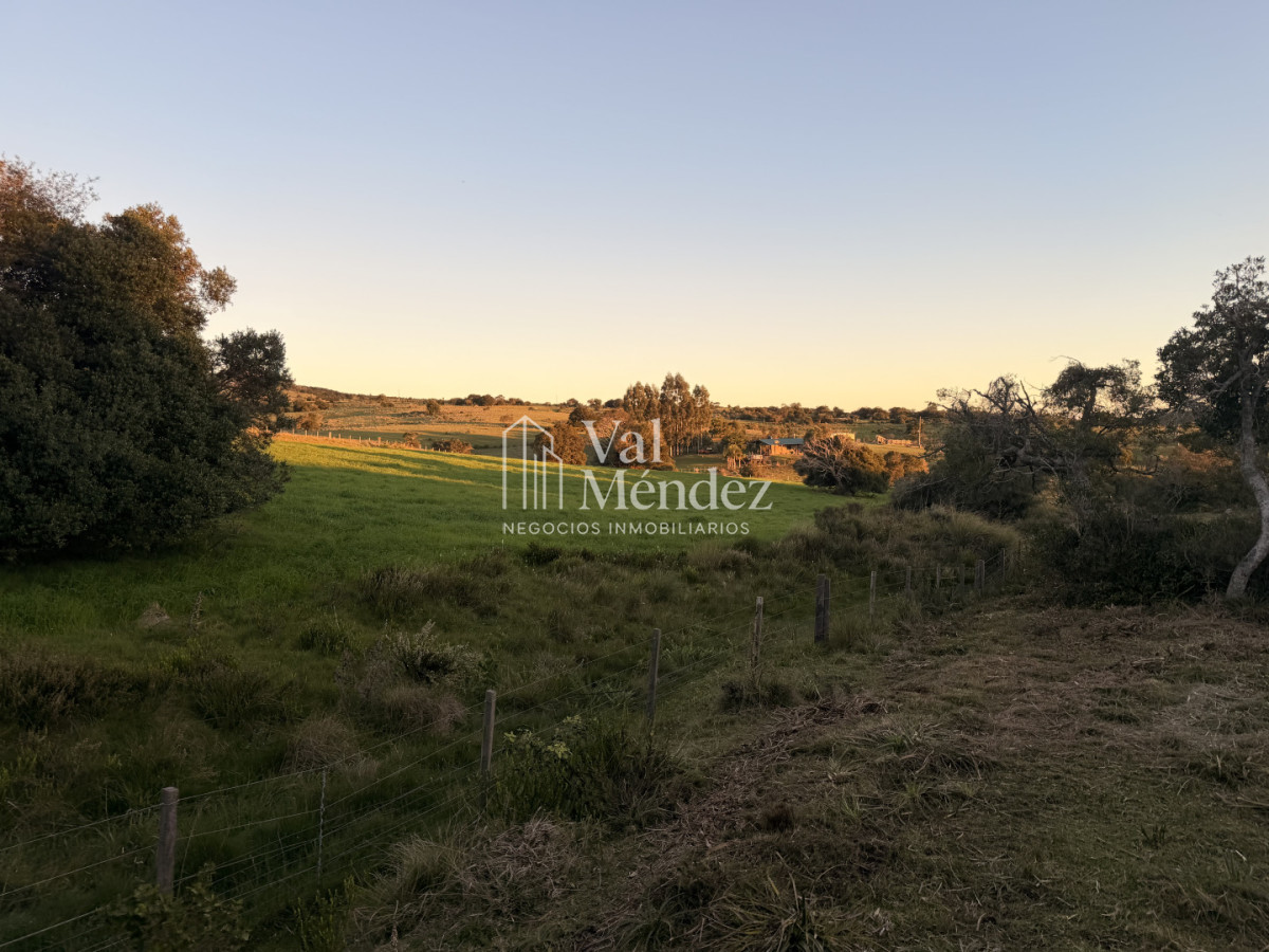 Chacra ID.3872 - CHACRA EN VENTA, ENTRE MALDONADO Y MINAS