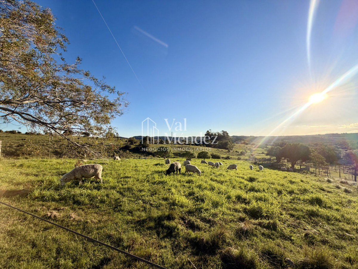 Chacra ID.3872 - CHACRA EN VENTA, ENTRE MALDONADO Y MINAS