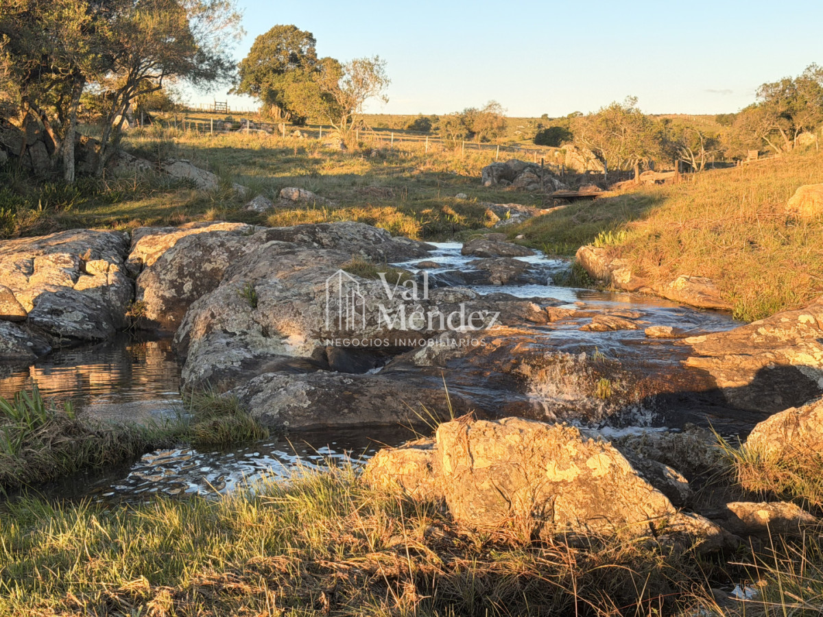 Chacra ID.3872 - CHACRA EN VENTA, ENTRE MALDONADO Y MINAS