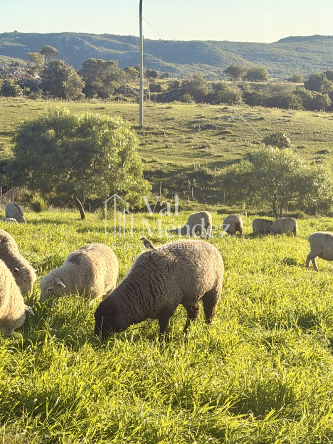 Chacra ID.3872 - CHACRA EN VENTA, ENTRE MALDONADO Y MINAS