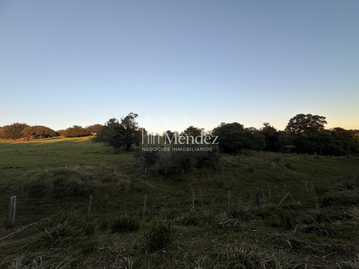 Chacra ID.3872 - CHACRA EN VENTA, ENTRE MALDONADO Y MINAS