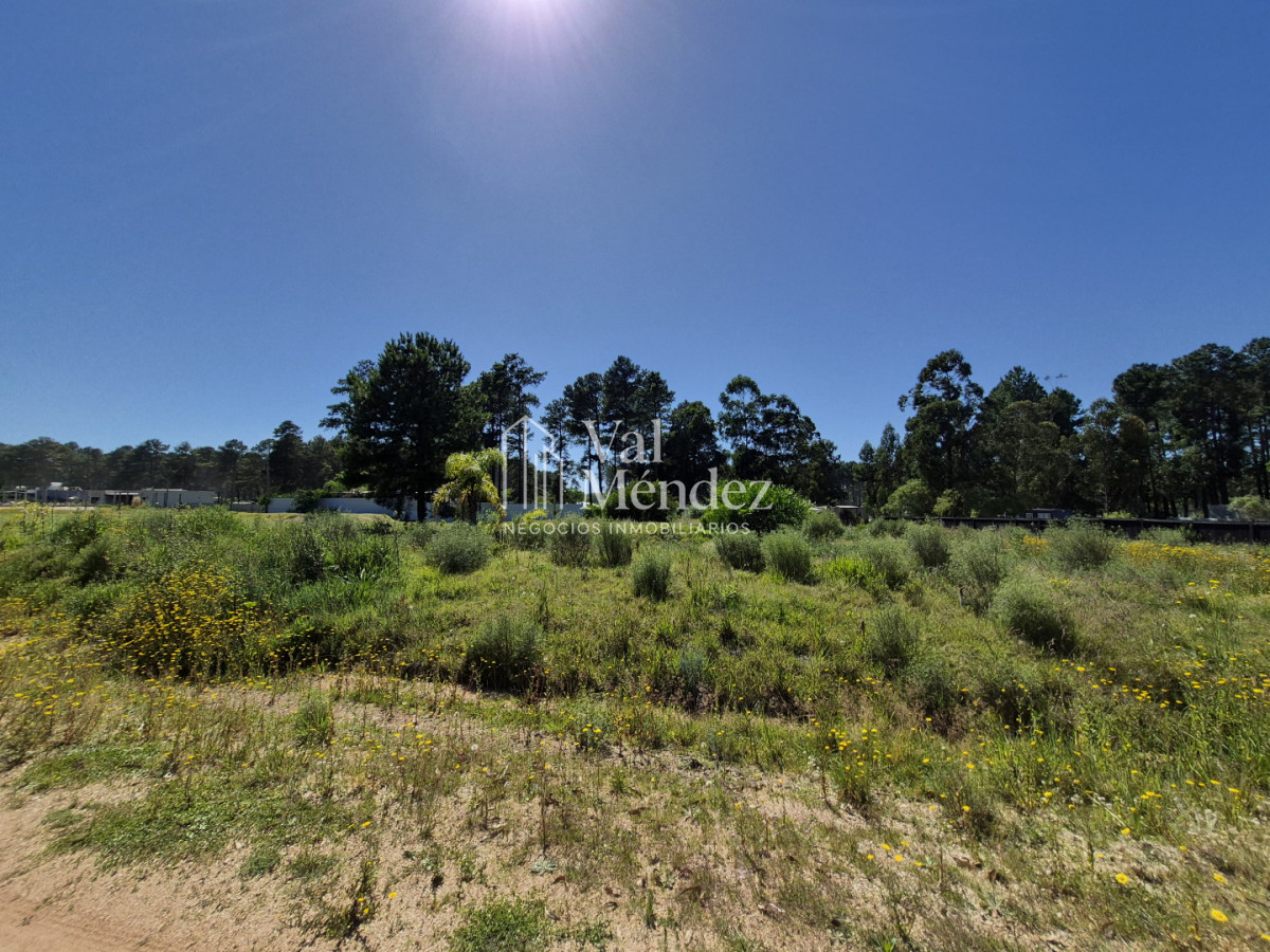 Terreno ID.3791 - TERRENO EN VENTA EN MALDONADO, Chacras del Pinar