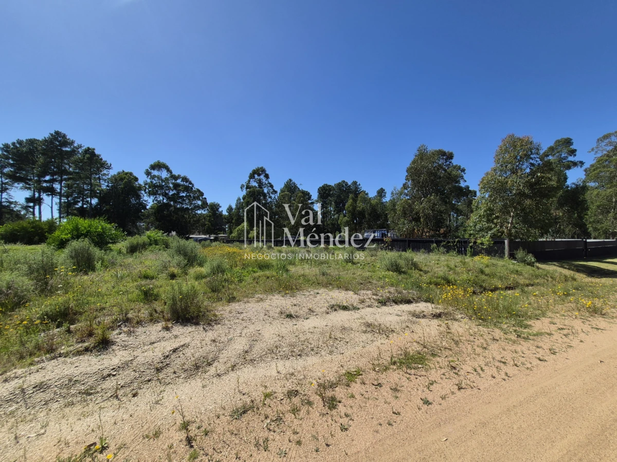 Terreno ID.3791 - TERRENO EN VENTA EN MALDONADO, Chacras del Pinar