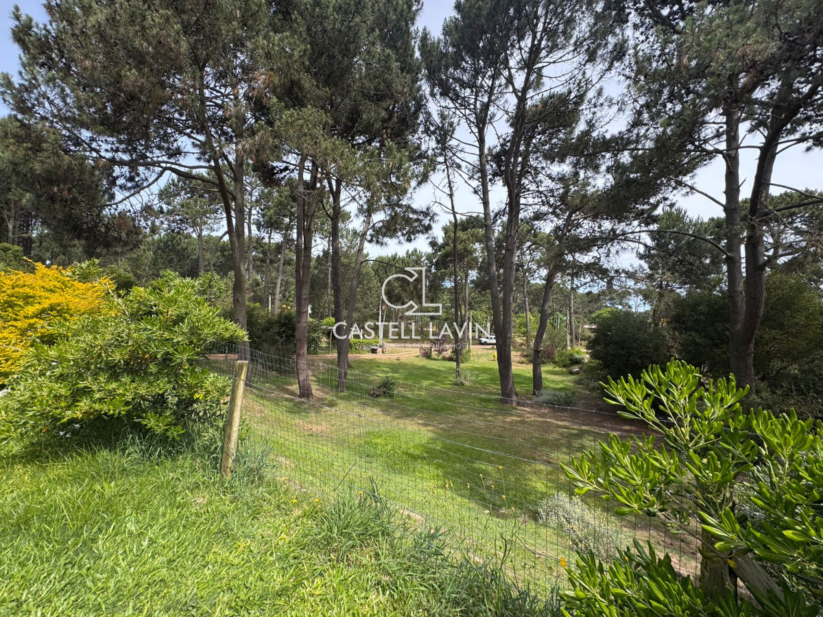 Casa ID.835 - Venta Casa 3 Dormitorios Portezuelo Bosque Punta Ballena