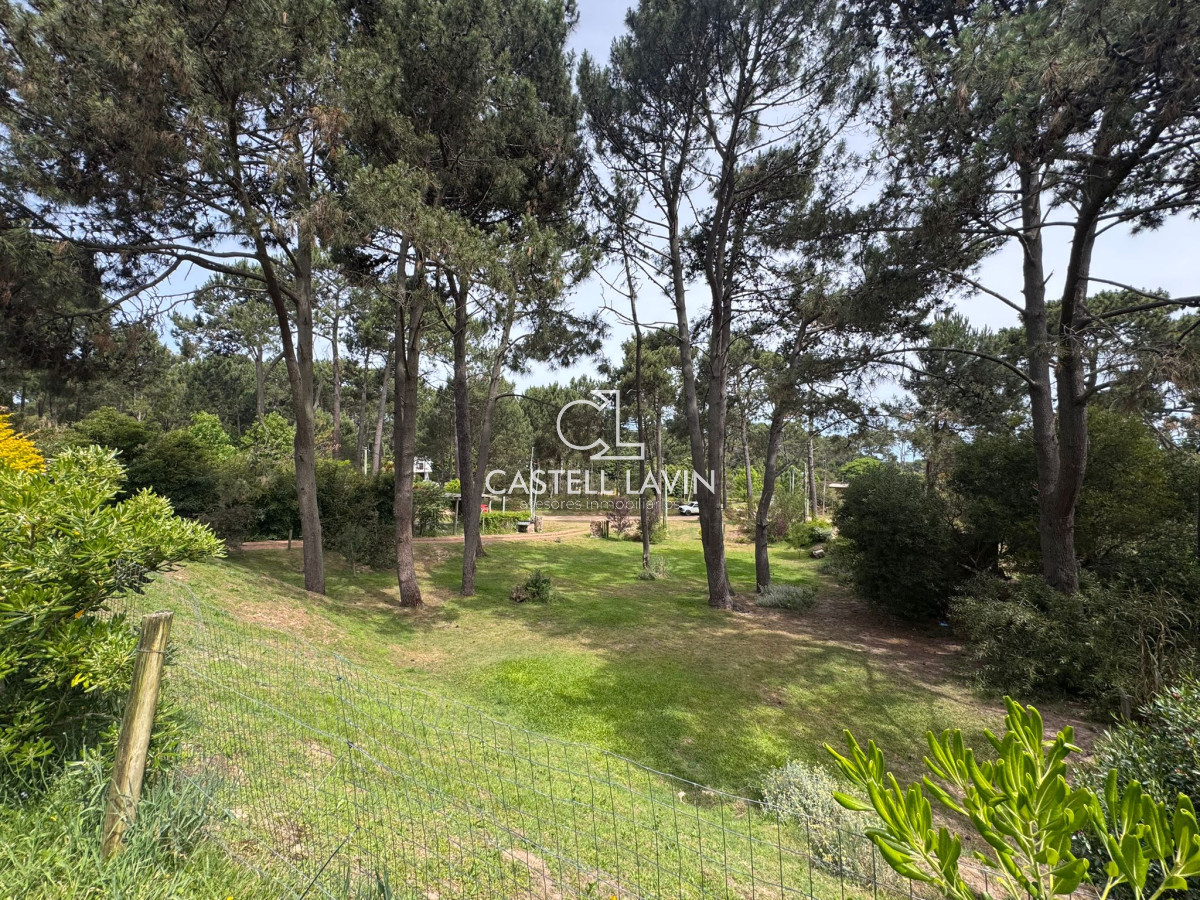 Casa ID.835 - Venta Casa 3 Dormitorios Portezuelo Bosque Punta Ballena