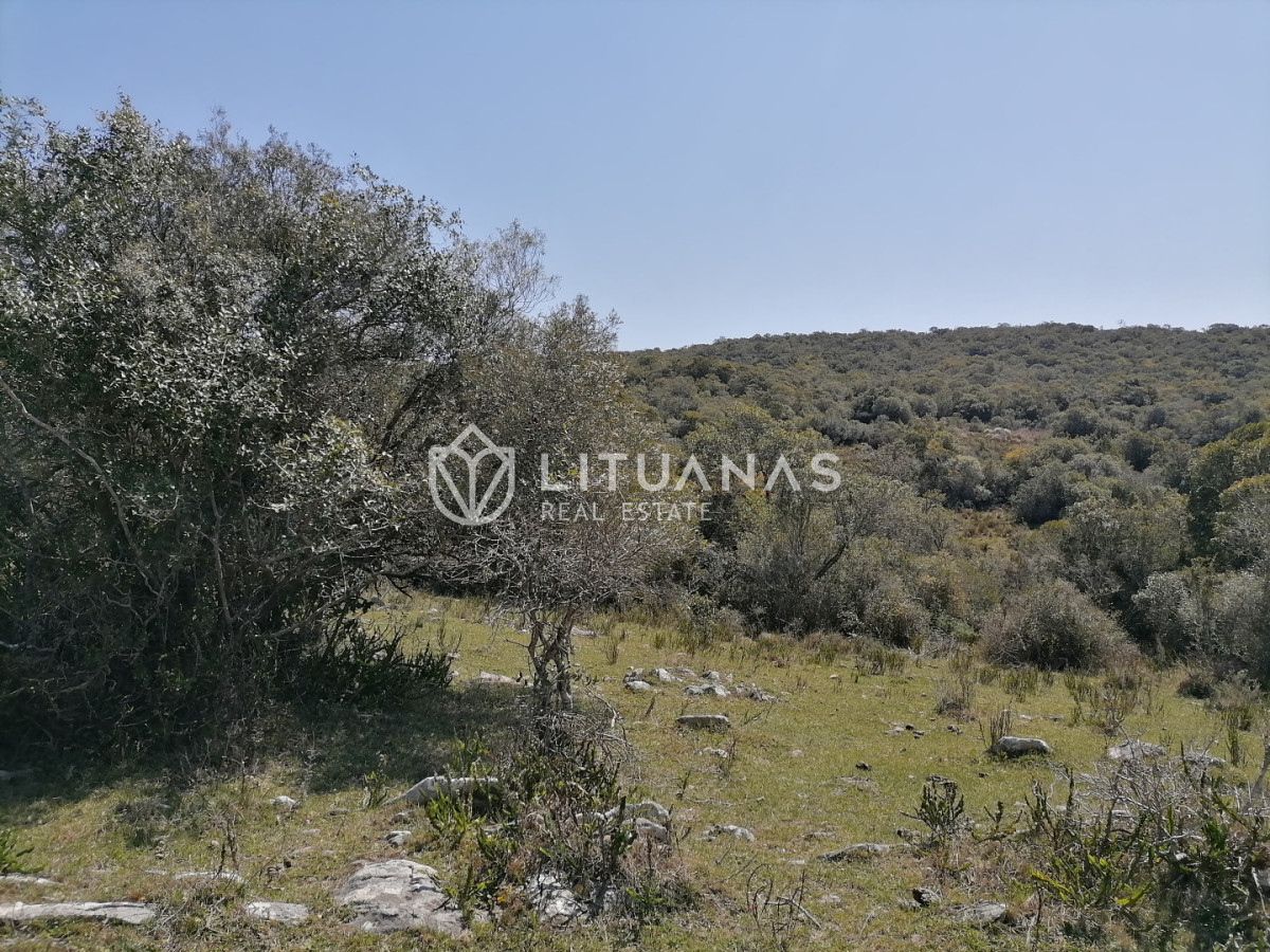 Chacra ID.102 - Campo cercano a Pueblo Edén, ideal para fraccionar. 122 hás - Precio x há