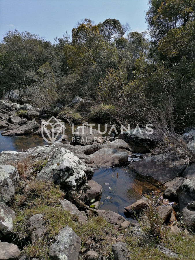 Chacra ID.102 - Campo cercano a Pueblo Edén, ideal para fraccionar. 122 hás - Precio x há