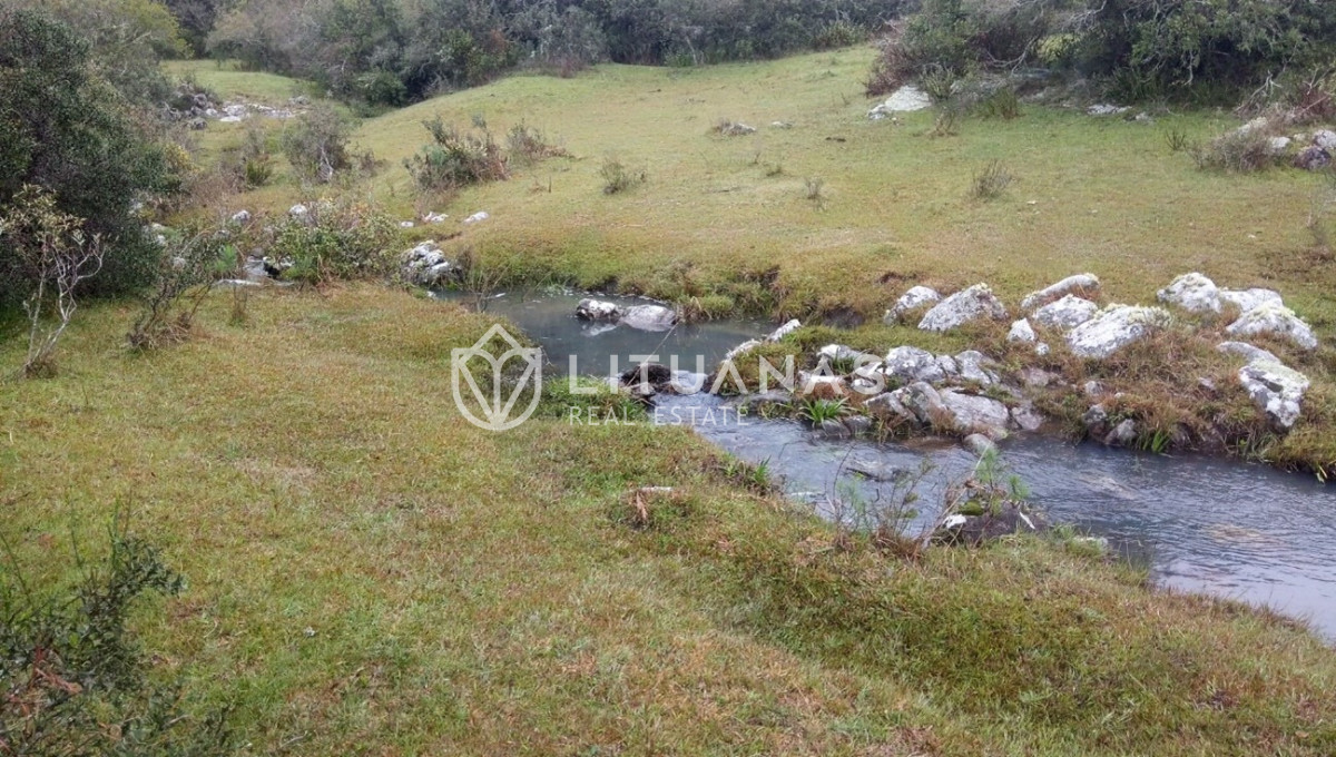 Chacra ID.102 - Campo cercano a Pueblo Edén, ideal para fraccionar. 122 hás - Precio x há