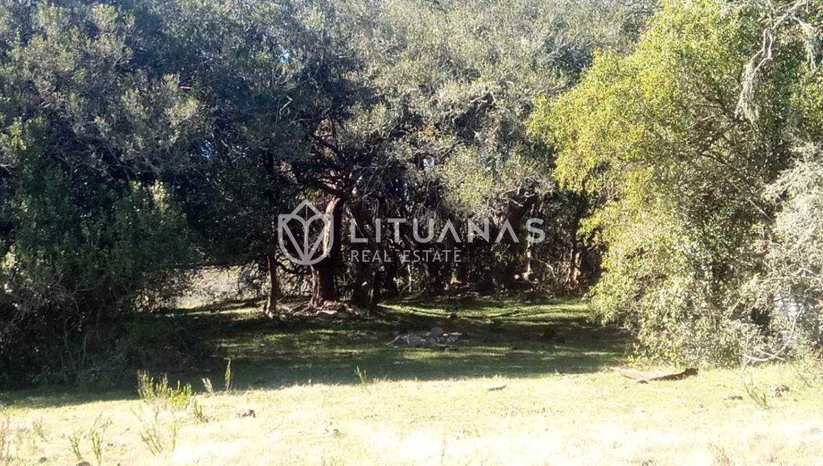 Chacra ID.102 - Campo cercano a Pueblo Edén, ideal para fraccionar. 122 hás - Precio x há