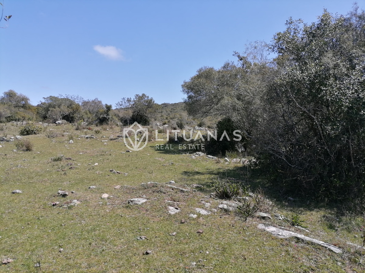 Chacra ID.102 - Campo cercano a Pueblo Edén, ideal para fraccionar. 122 hás - Precio x há
