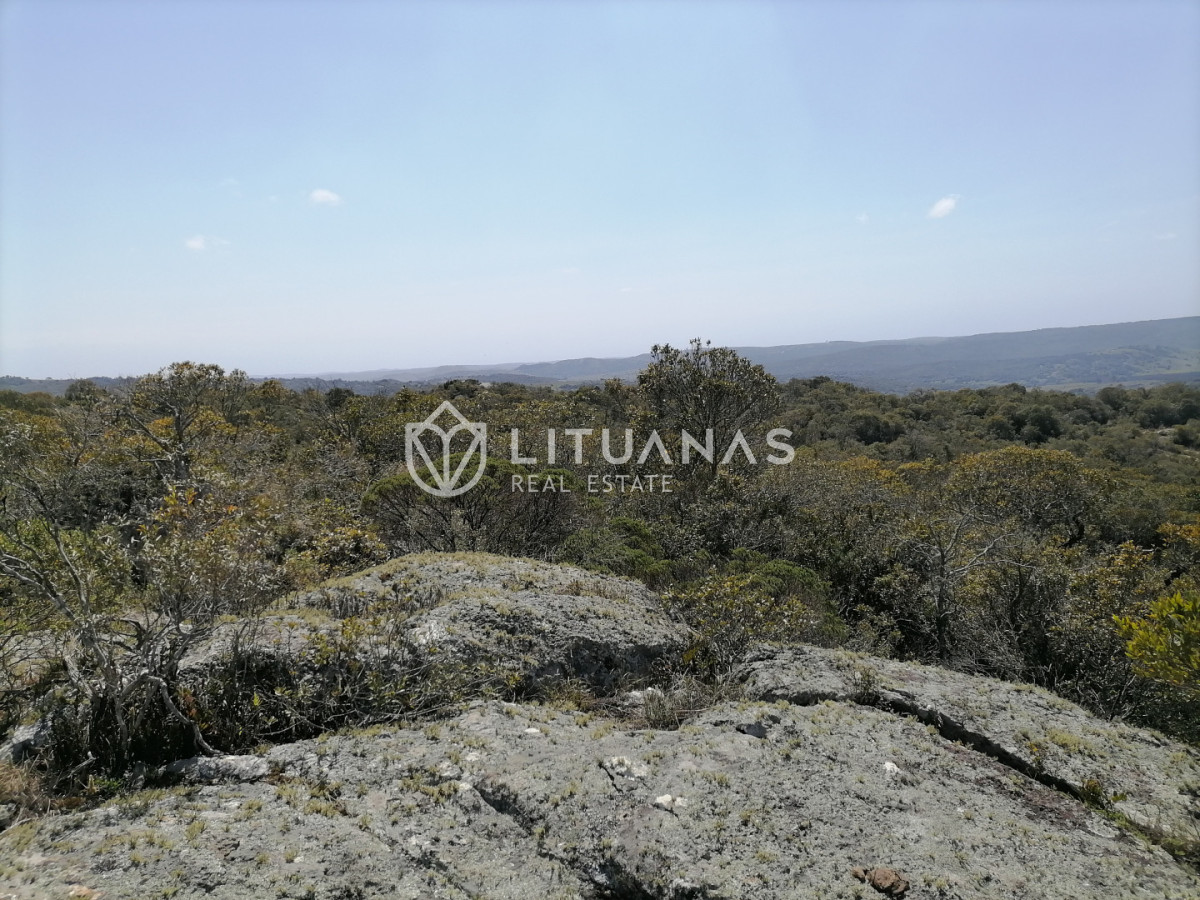 Chacra ID.102 - Campo cercano a Pueblo Edén, ideal para fraccionar. 122 hás - Precio x há