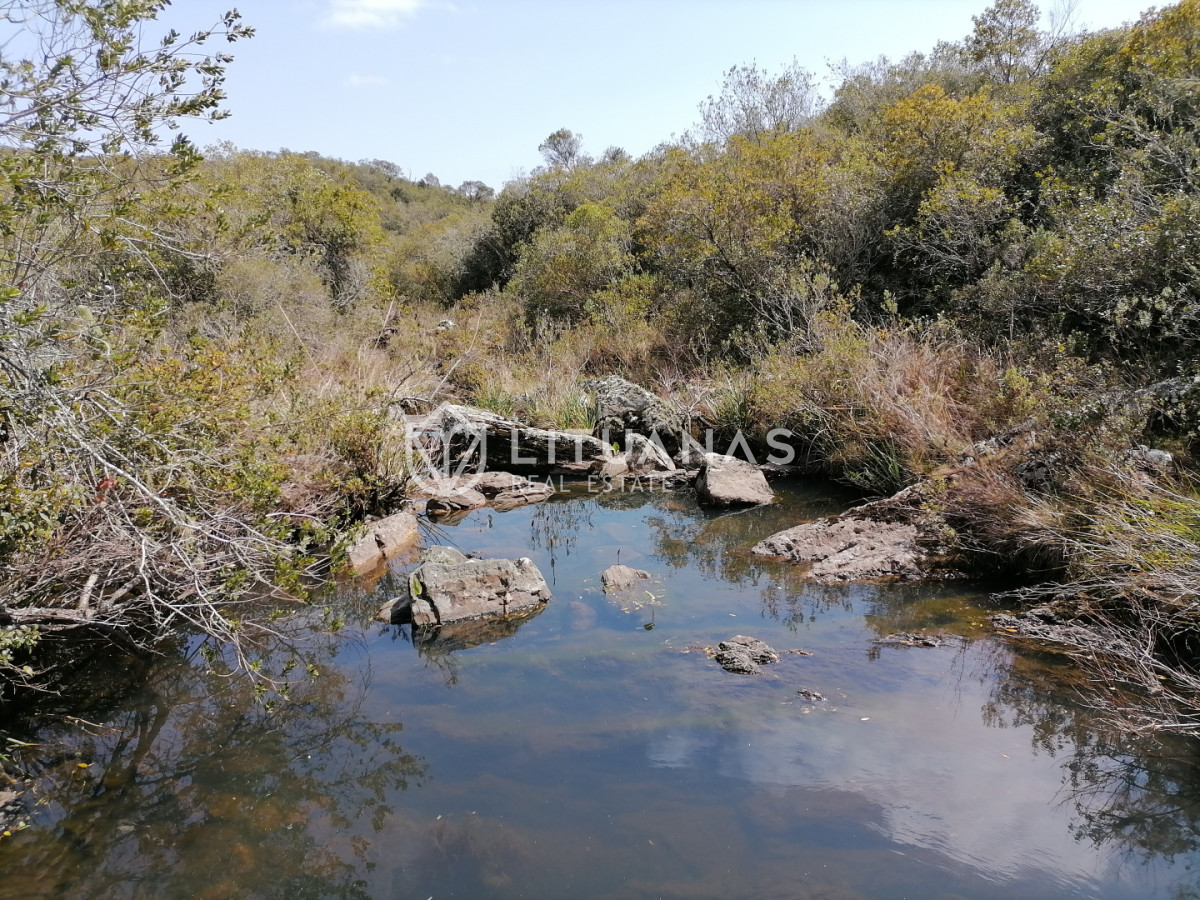 Chacra ID.102 - Campo cercano a Pueblo Edén, ideal para fraccionar. 122 hás - Precio x há