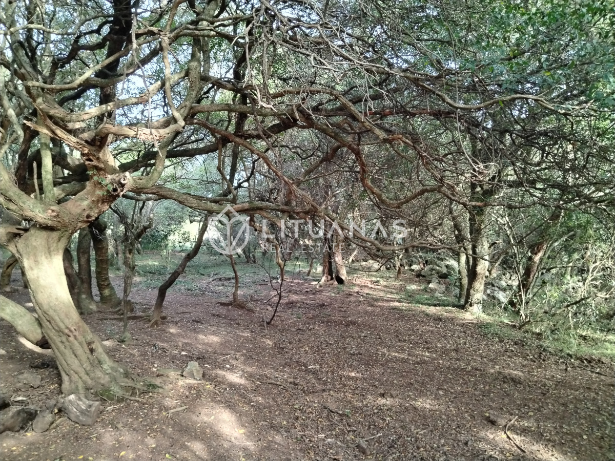 Chacra ID.3 - Fraccionamiento La Picapiedra - Chacra 02 - 3,5Has