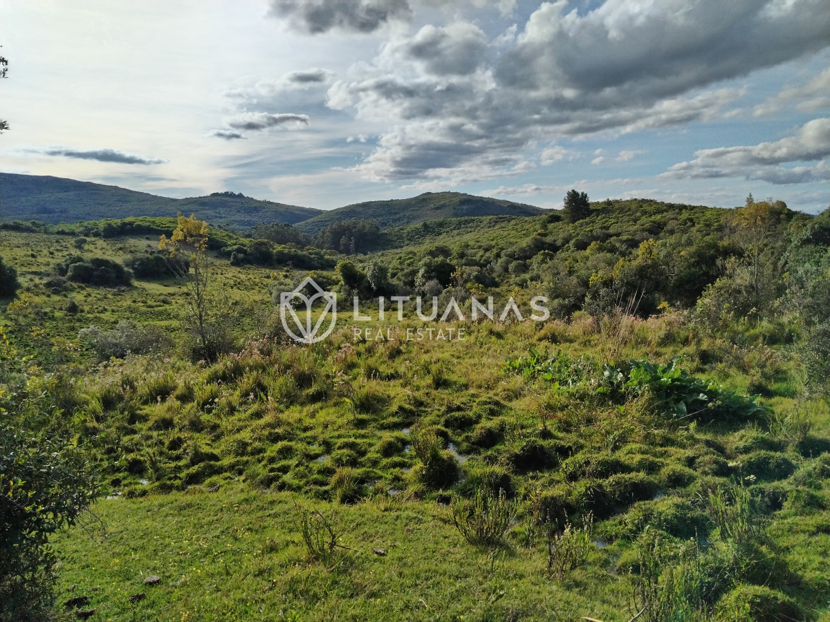 Chacra ID.3 - Fraccionamiento La Picapiedra - Chacra 02 - 3,5Has