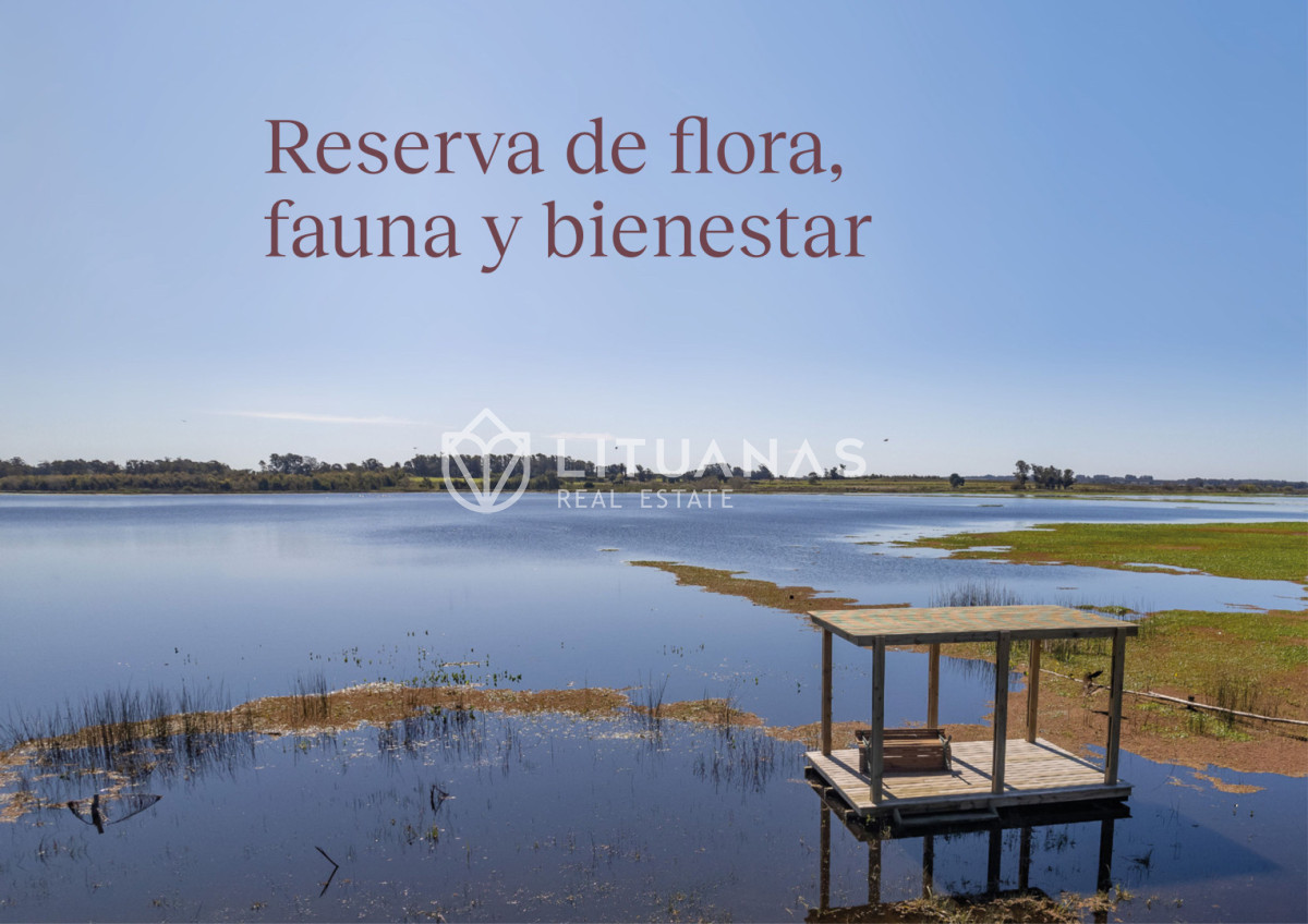 Chacra ID.129 - Chacras a 25min. de Carrasco - Laguna del Cisne