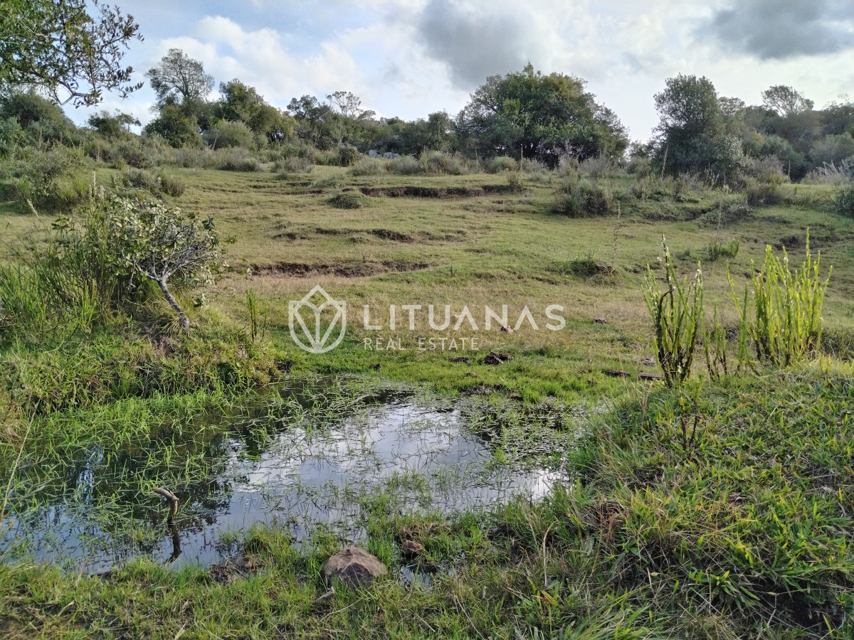 Chacra ID.3 - Fraccionamiento La Picapiedra - Chacra 02 - 3,5Has