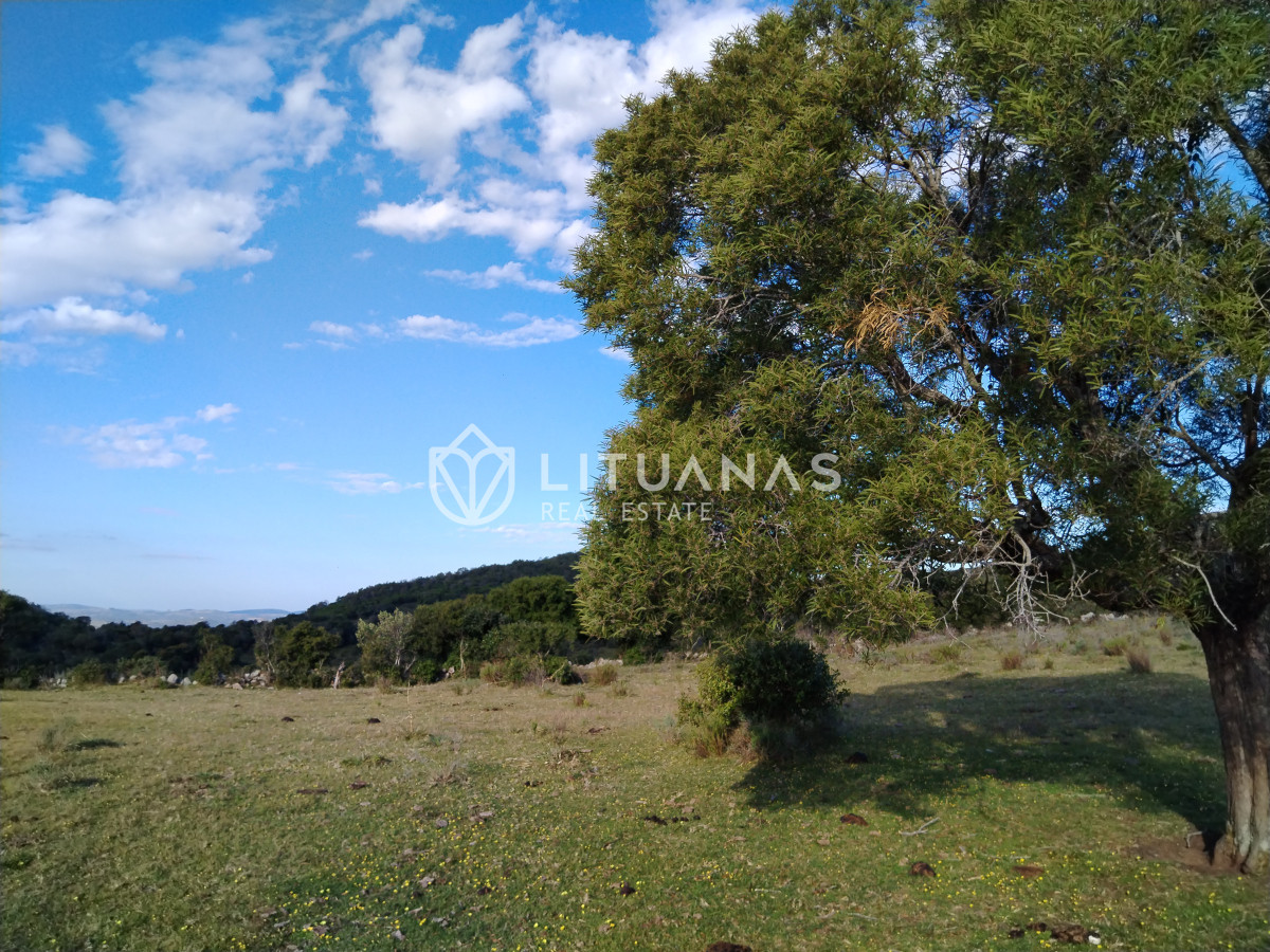 Chacra ID.3 - Fraccionamiento La Picapiedra - Chacra 02 - 3,5Has