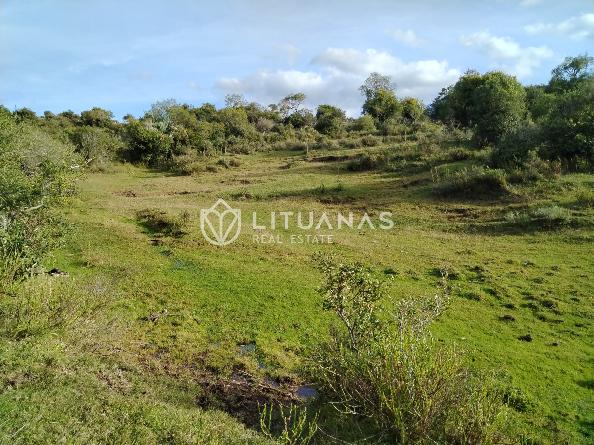 Chacra ID.3 - Fraccionamiento La Picapiedra - Chacra 02 - 3,5Has