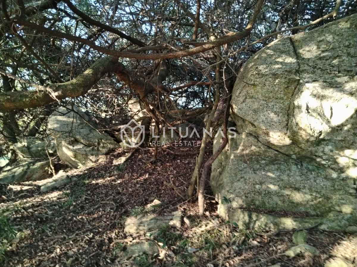 Chacra ID.3 - Fraccionamiento La Picapiedra - Chacra 02 - 3,5Has