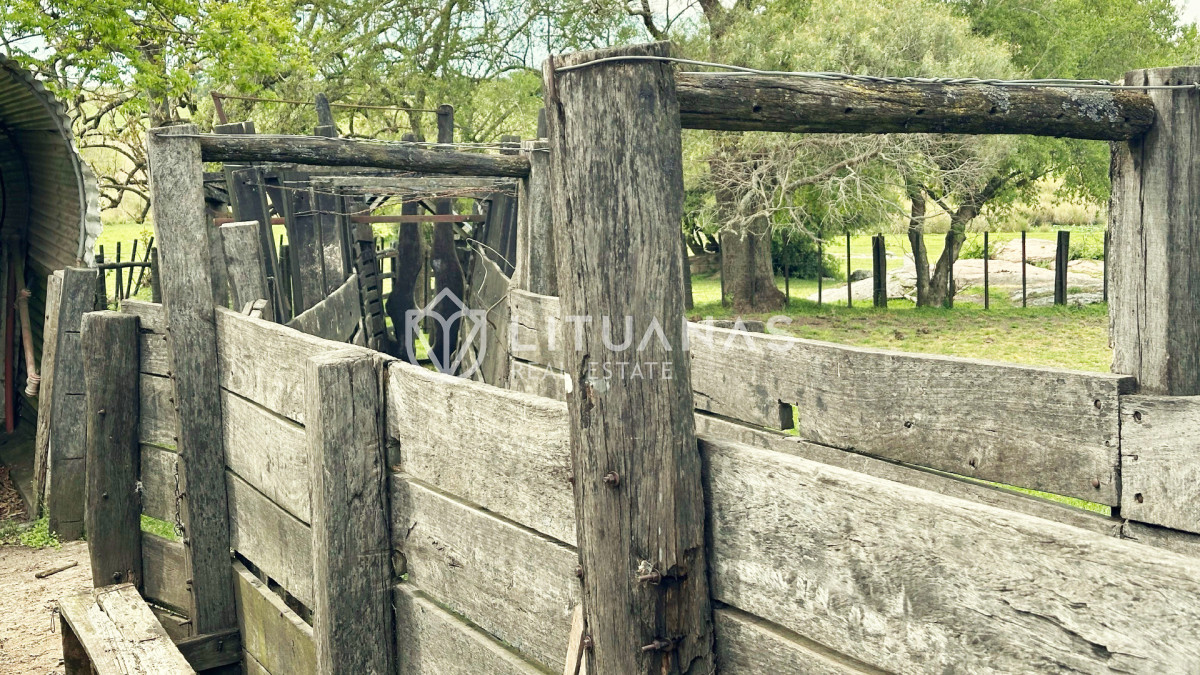 Chacra ID.176 - Casco histórico en Lavalleja 100hás
