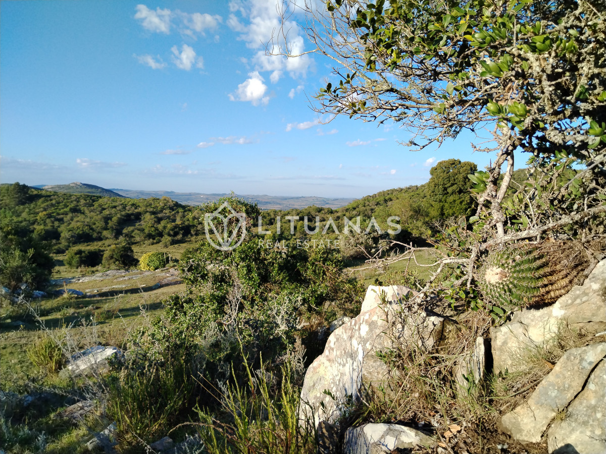Chacra ID.5 - Fraccionamiento La Picapiedra - Chacra 03 - 3,5Has Con posibilidad de ampliar más tierra