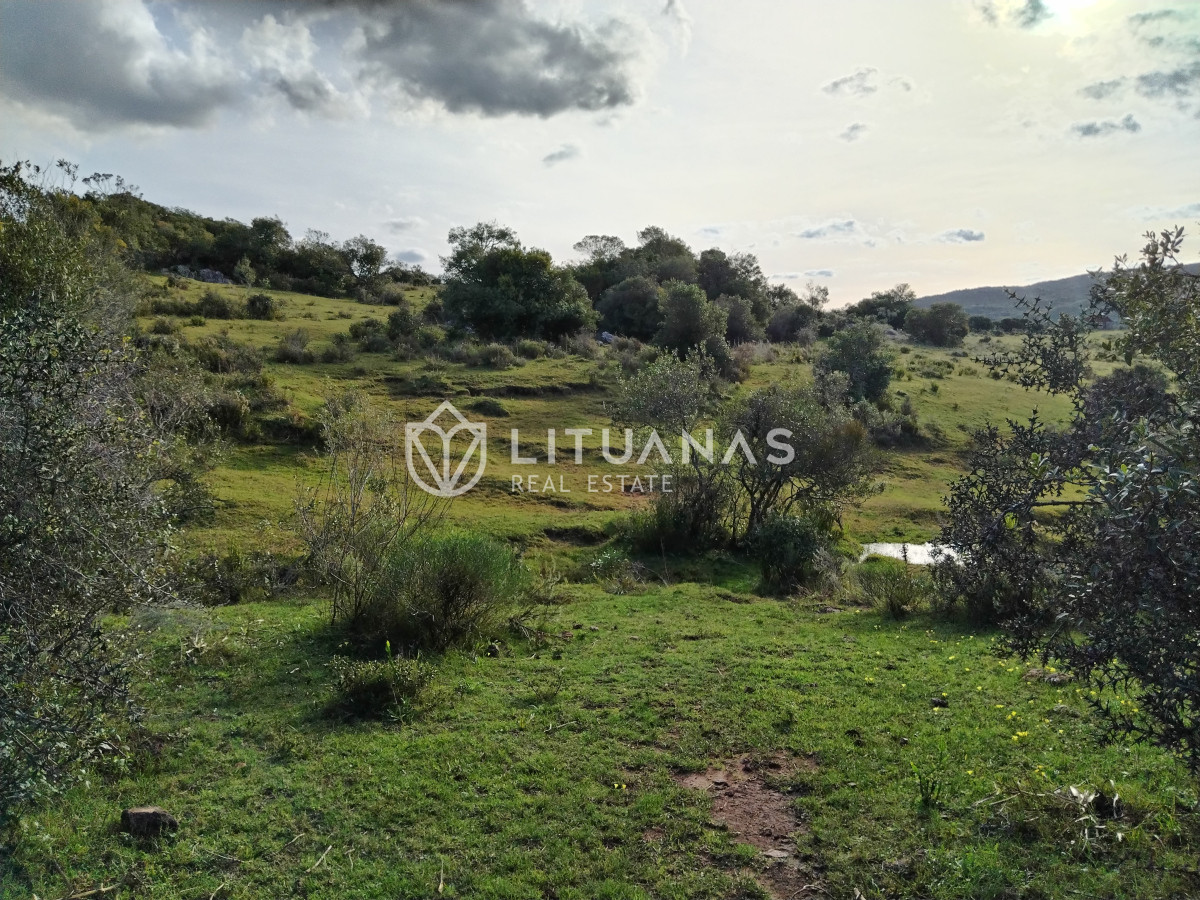 Chacra ID.3 - Fraccionamiento La Picapiedra - Chacra 02 - 3,5Has