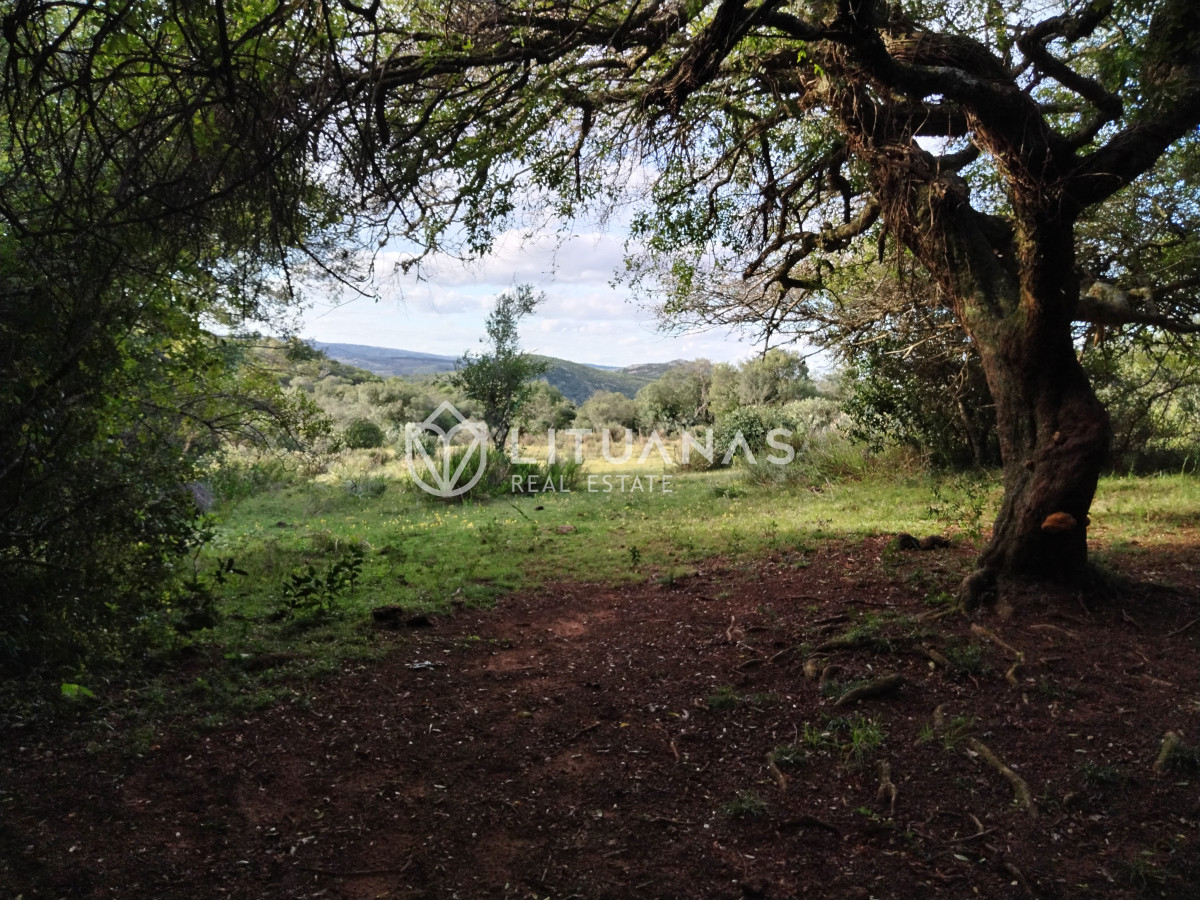 Chacra ID.3 - Fraccionamiento La Picapiedra - Chacra 02 - 3,5Has