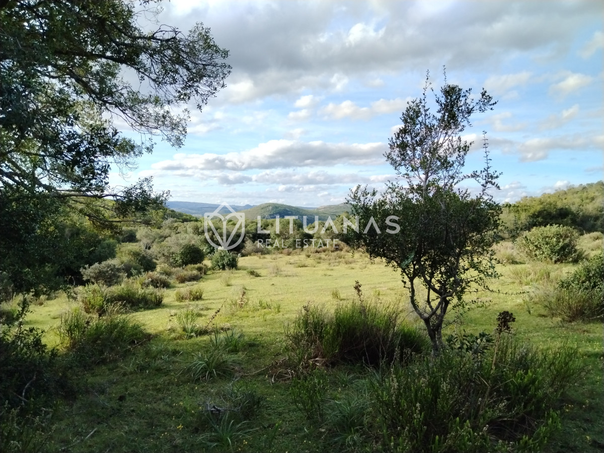 Chacra ID.5 - Fraccionamiento La Picapiedra - Chacra 03 - 3,5Has Con posibilidad de ampliar más tierra