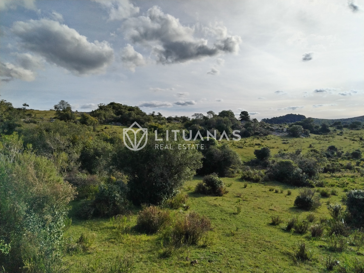 Chacra ID.3 - Fraccionamiento La Picapiedra - Chacra 02 - 3,5Has