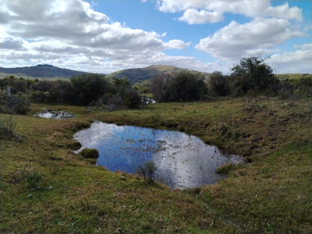 Fraccionamiento La Picapiedra - Chacra 04 - 3,5Has