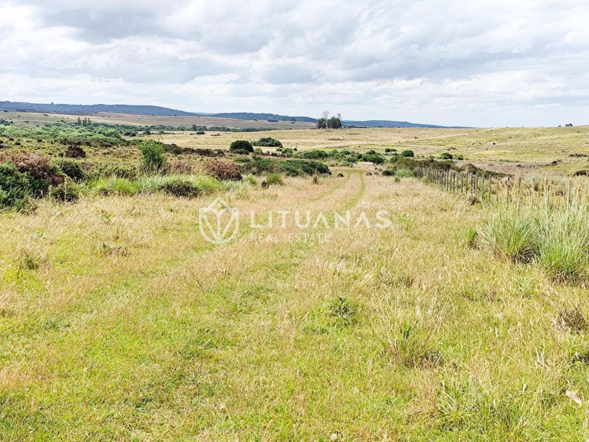 Campo Ref.189 - 295 Hectáreas Campo Forestal Ganadero Oportunidad de inversión en una zona de alto potencial