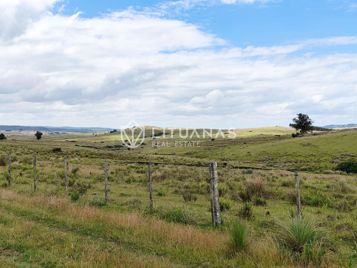 Campo Ref.189 - 295 Hectáreas Campo Forestal Ganadero Oportunidad de inversión en una zona de alto potencial