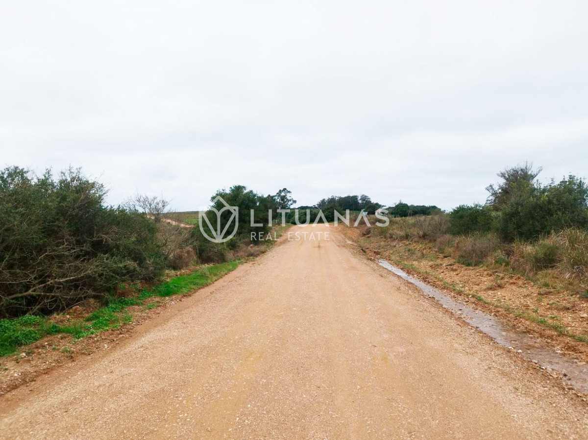Campo Ref.194 - 72 hectáreas en Rocha | Tierra productiva con doble potencial