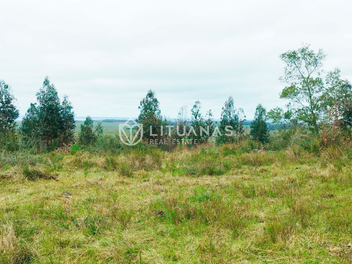 Campo Ref.194 - 72 hectáreas en Rocha | Tierra productiva con doble potencial