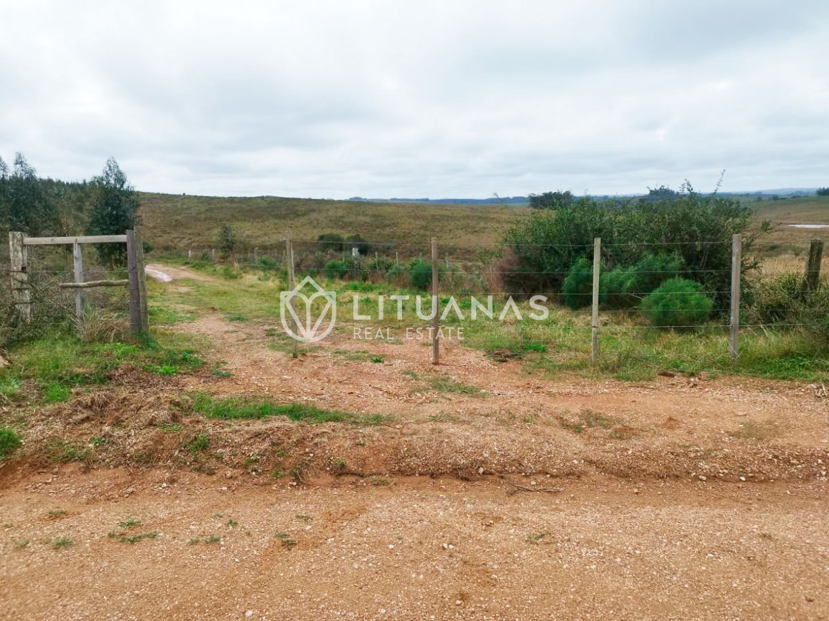 Campo Ref.194 - 72 hectáreas en Rocha | Tierra productiva con doble potencial