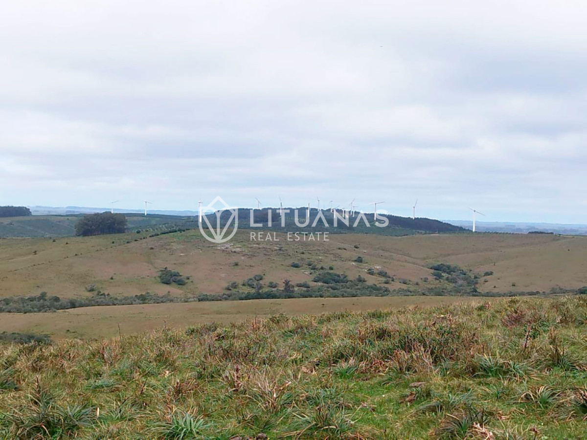 Campo Ref.192 - Rocha | 235 hectáreas con potencial forestal y ganadero