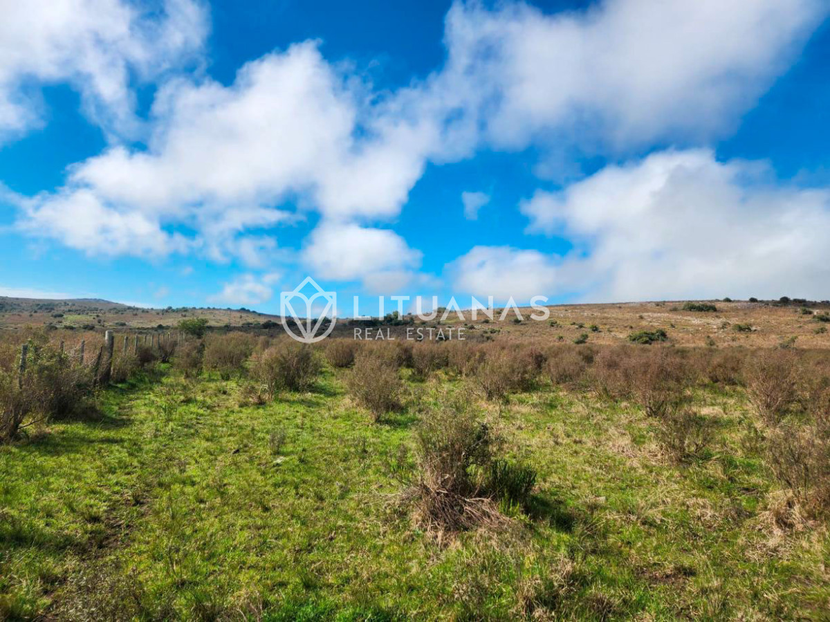 Campo Ref.191 - Campo ganadero en Maldonado, 300 hectáreas, inversión en tierra