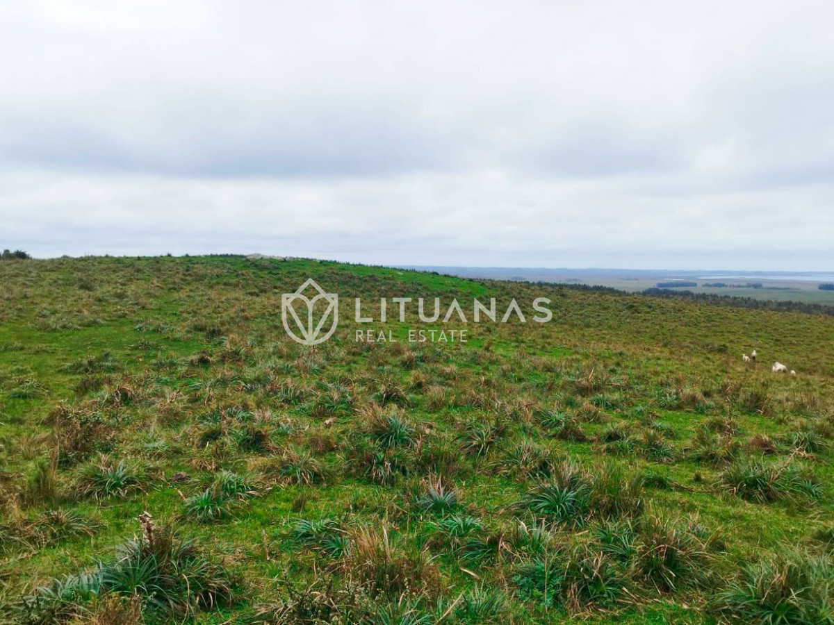 Campo Ref.192 - Rocha | 235 hectáreas con potencial forestal y ganadero