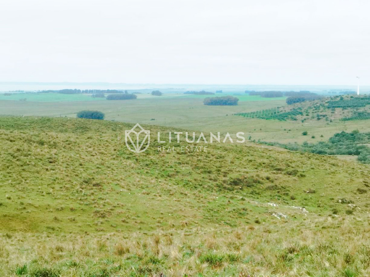 Campo Ref.192 - Rocha | 235 hectáreas con potencial forestal y ganadero