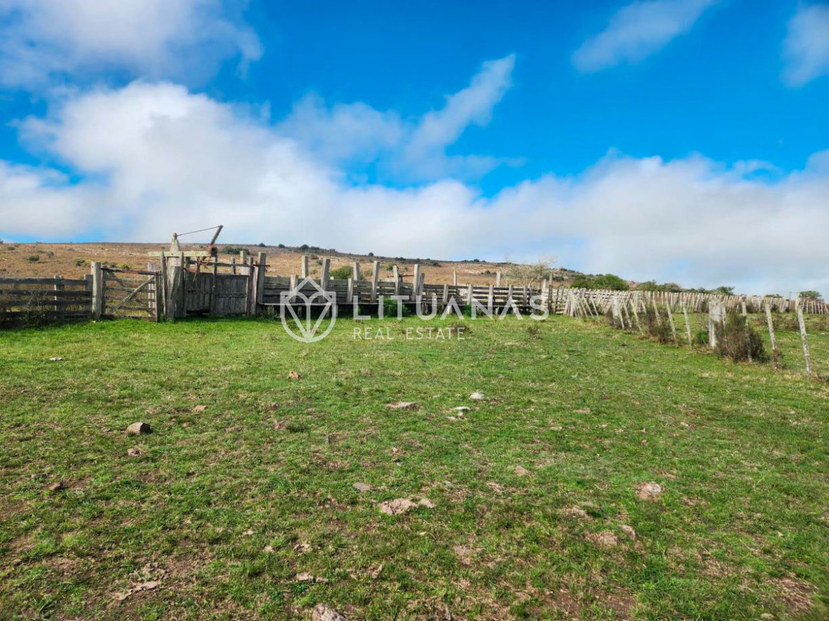 Campo Ref.191 - Campo ganadero en Maldonado, 300 hectáreas, inversión en tierra