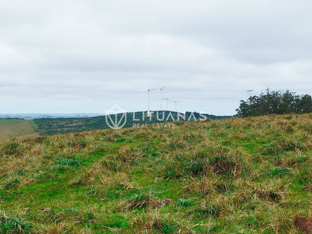 Campo Ref.192 - Rocha | 235 hectáreas con potencial forestal y ganadero