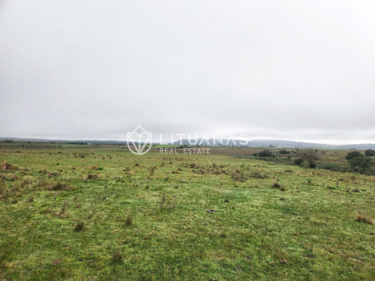 Campo Ref.191 - Campo ganadero en Maldonado, 300 hectáreas, inversión en tierra