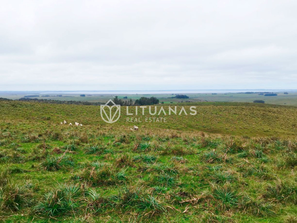 Campo Ref.192 - Rocha | 235 hectáreas con potencial forestal y ganadero