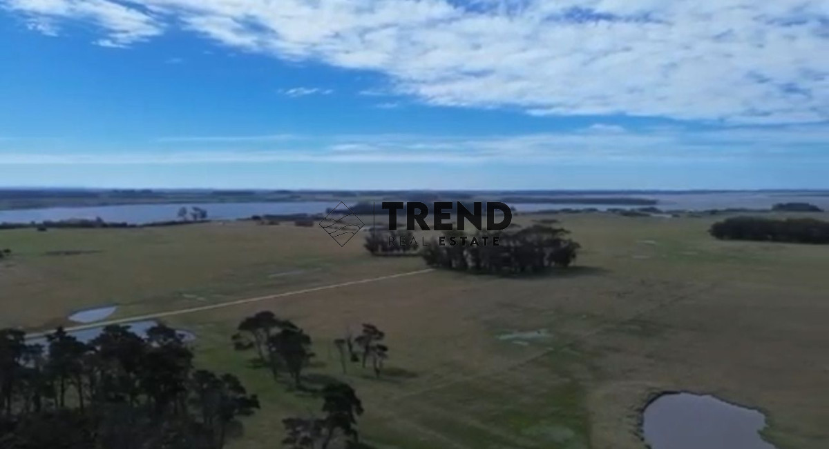 Chacra ID.31 - Espectacular Chacra en Venta en Jose Ignacio