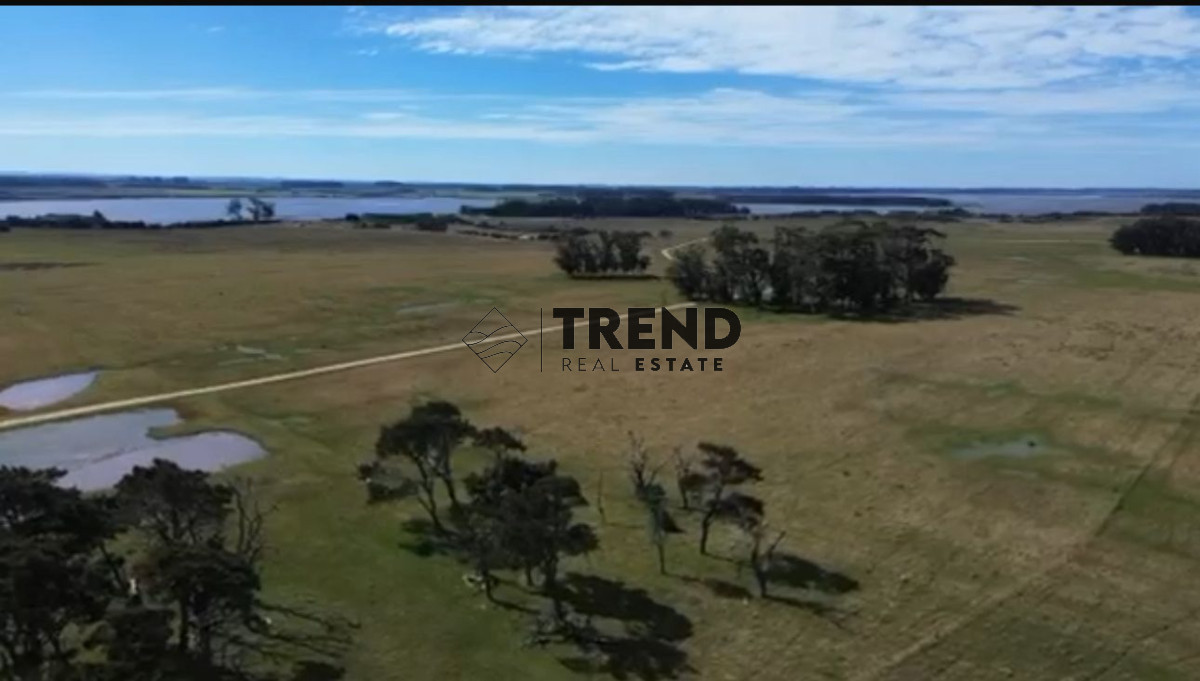 Chacra ID.31 - Espectacular Chacra en Venta en Jose Ignacio